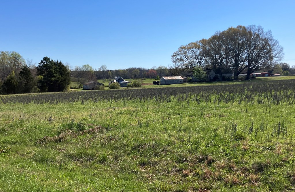 Open farm field and tree line near Sellerstown Road, Cleveland County