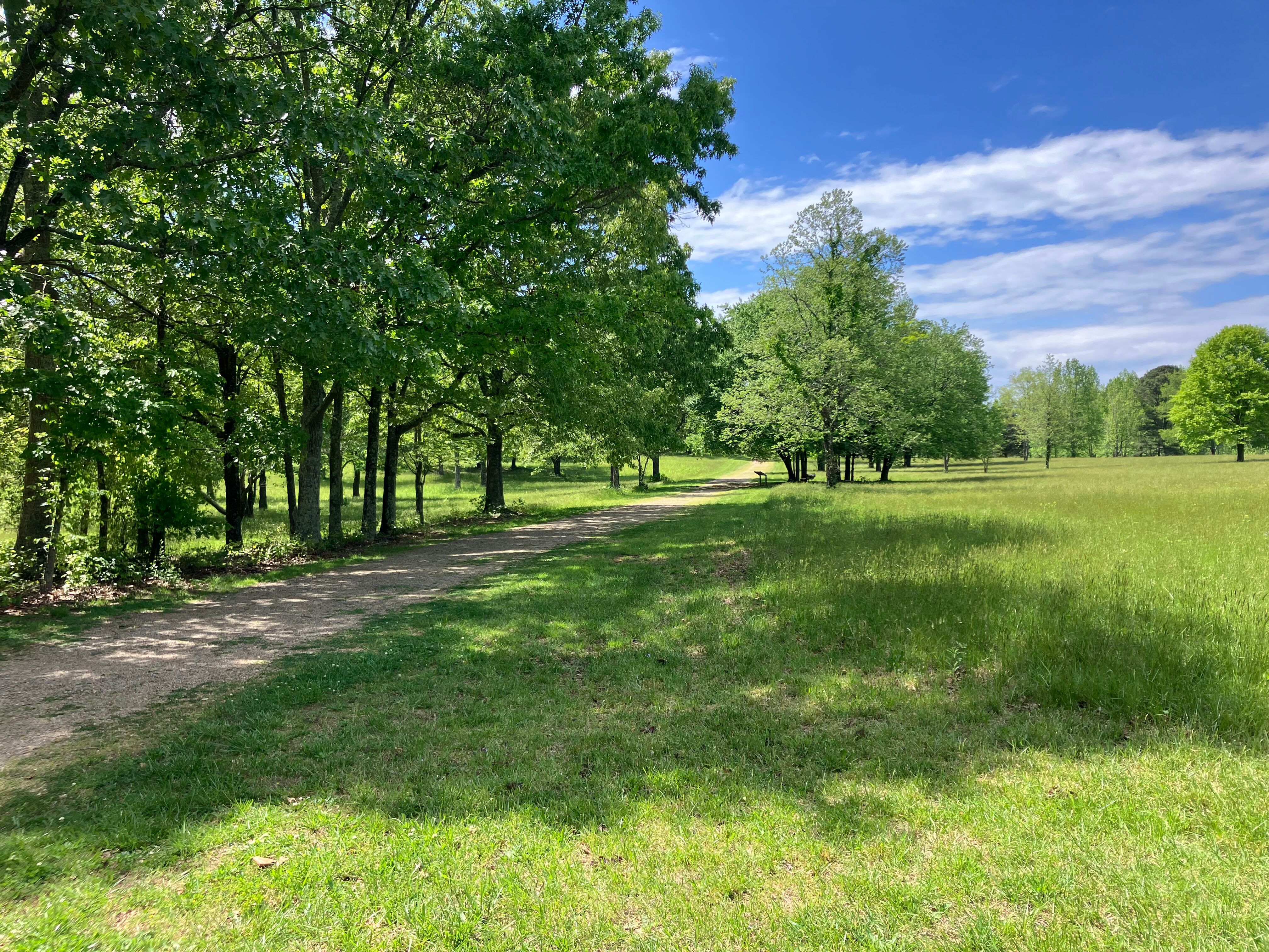 Open grassy ground where Tarleton approached, edged by trees