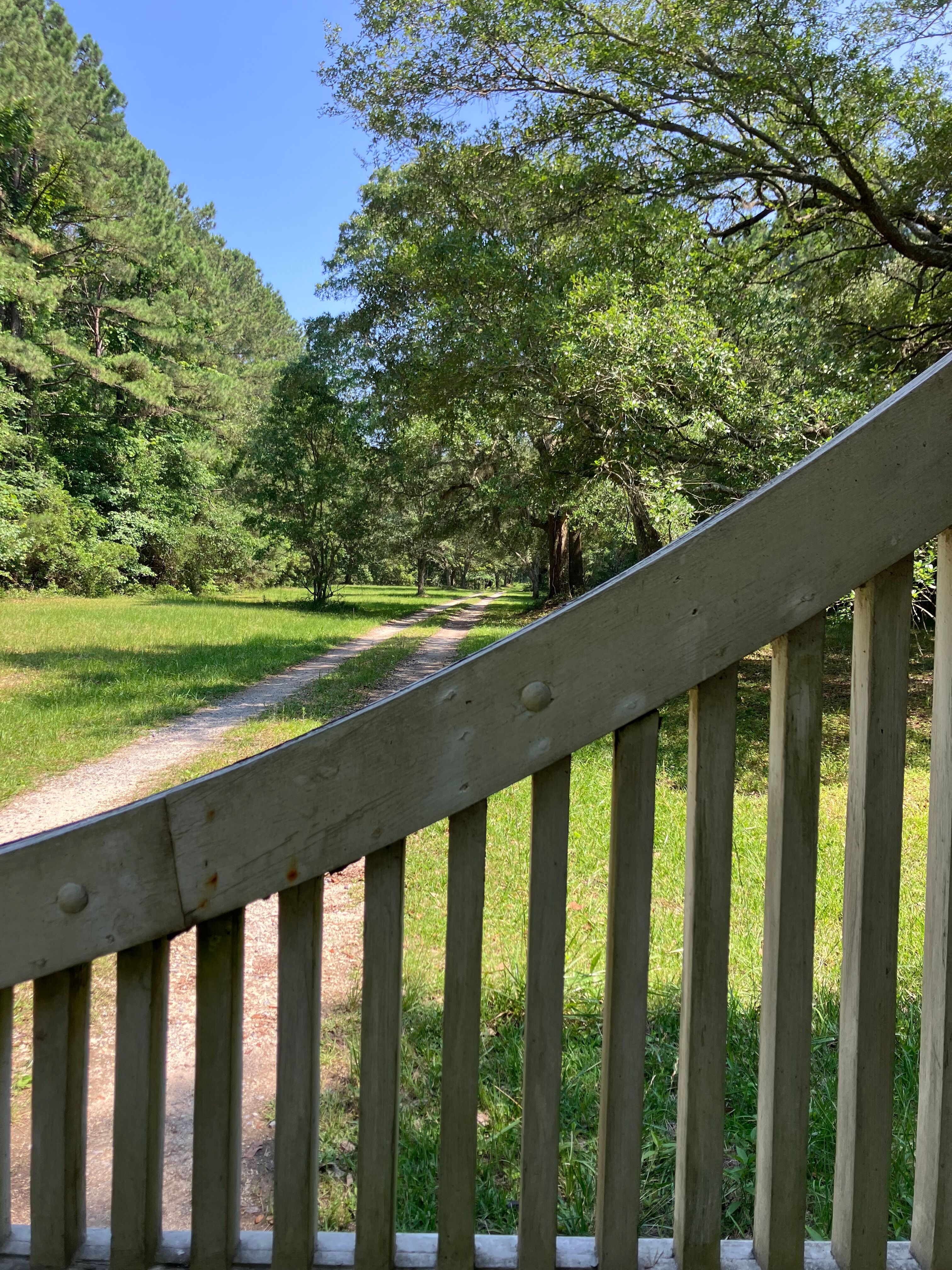 Wooden gate rail with the oak avenue beyond at Tibwin