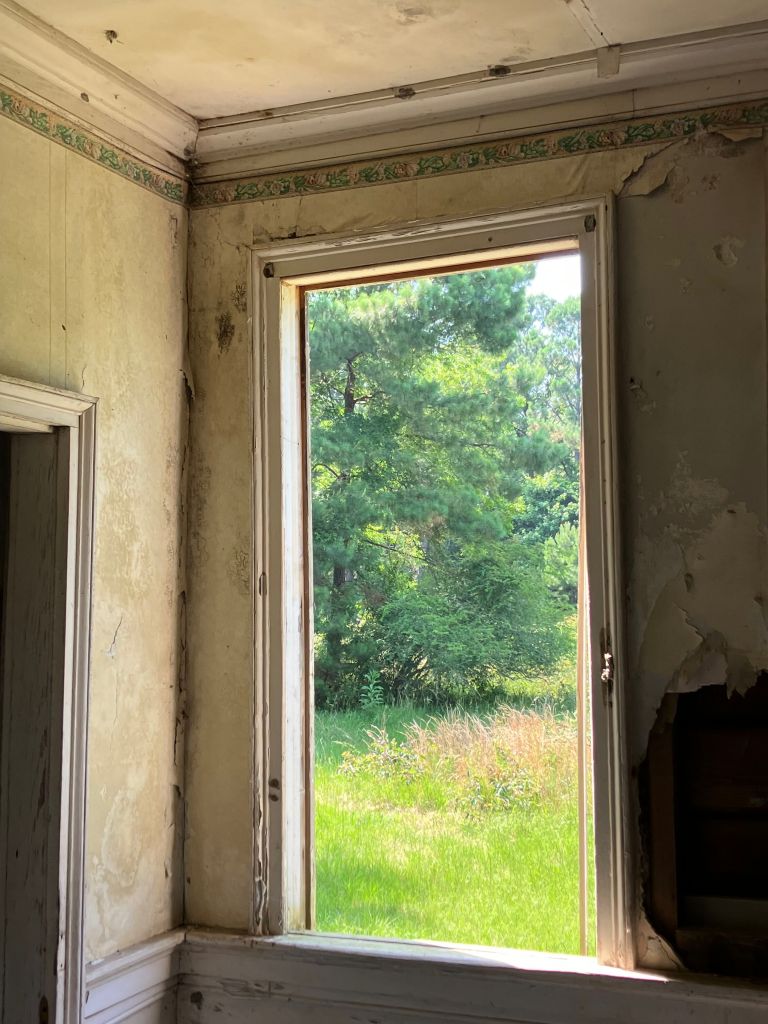 Tall window looking out to green trees