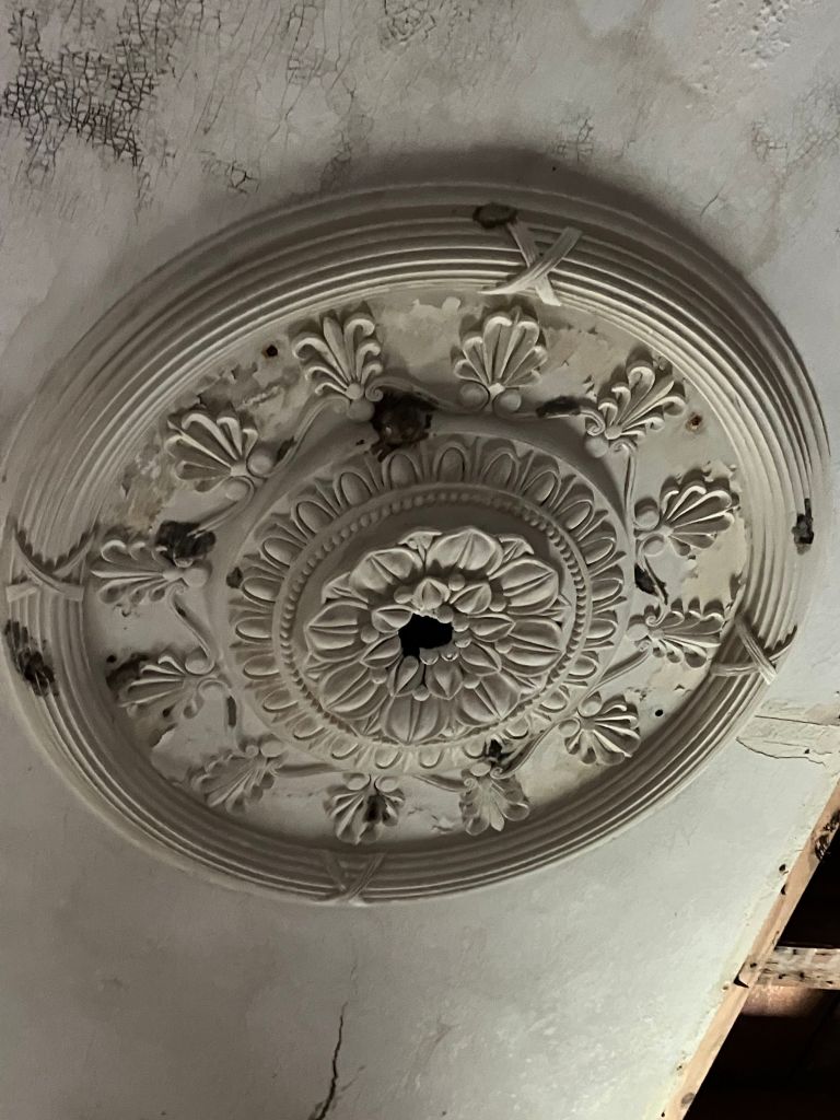 Ornate plaster ceiling medallion