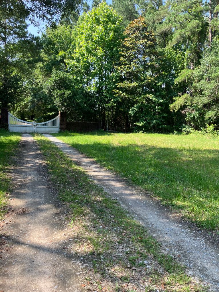 Two-track road leading to a white gate through the trees