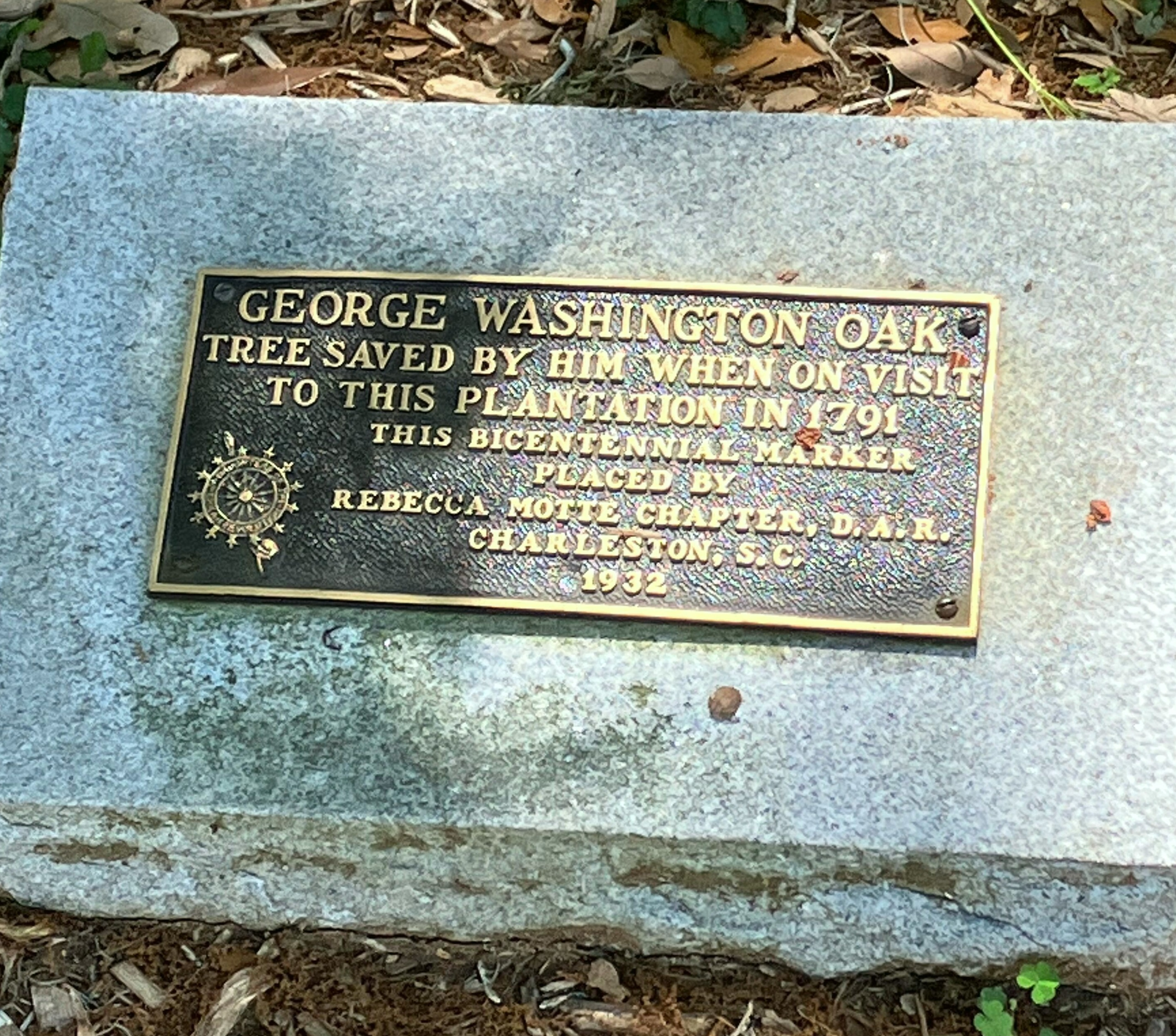 Bronze plaque on a stone reading George Washington Oak, tree saved by him when on visit to this plantation in 1791