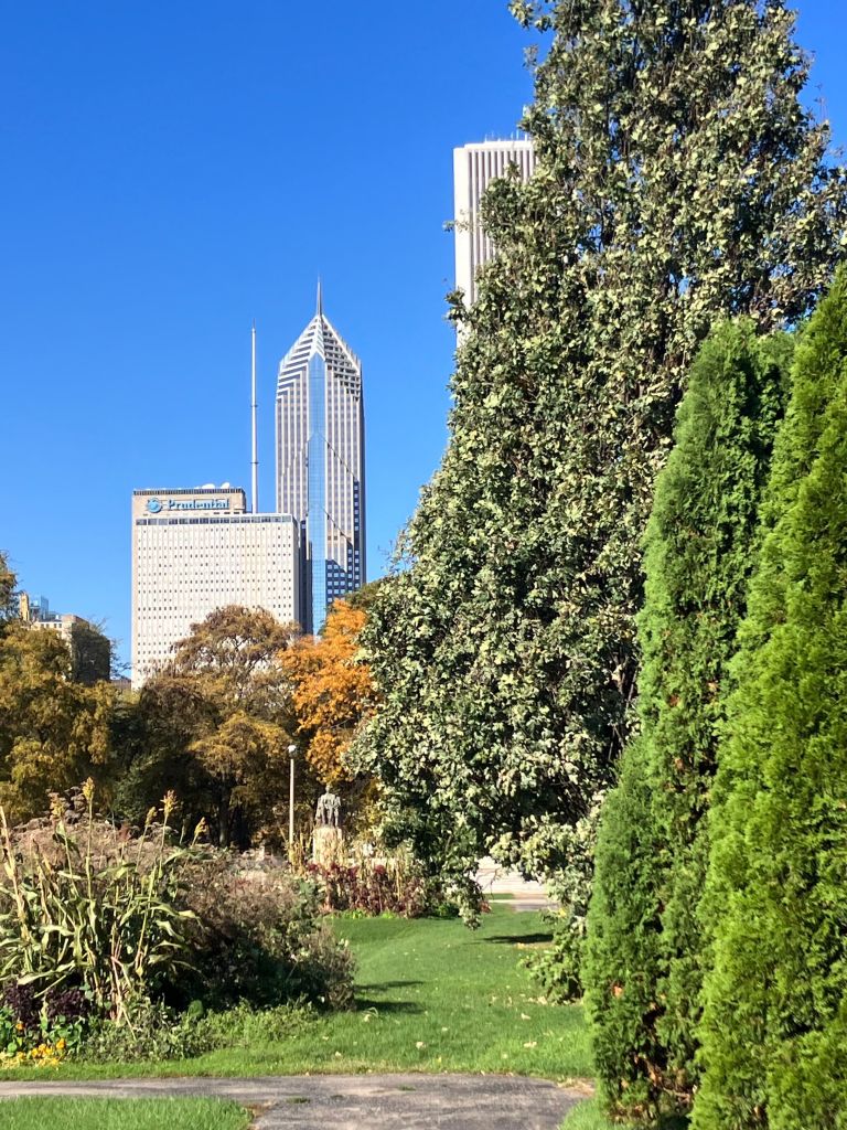 Grant Park gardens with evergreens and Chicago skyscrapers