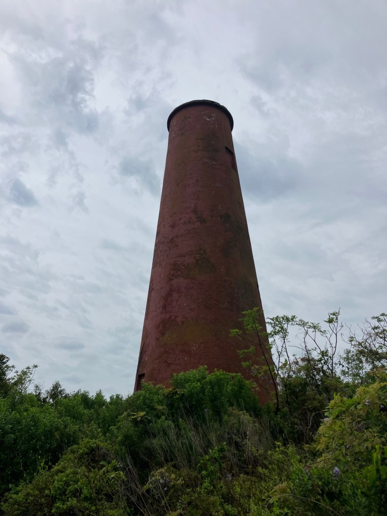 The red brick 1827 Cape Romain Lighthouse rising above the shrubs