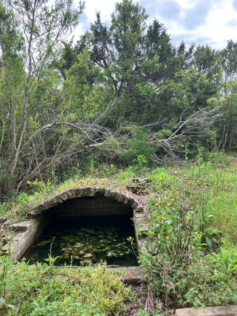 Arched brick cistern opening in the overgrown grounds