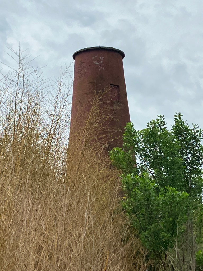 The 1827 lighthouse standing above tall grass and shrubs