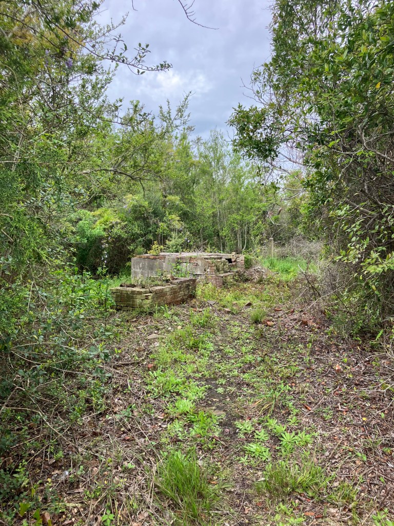 Overgrown foundations of the lightkeepers' homes