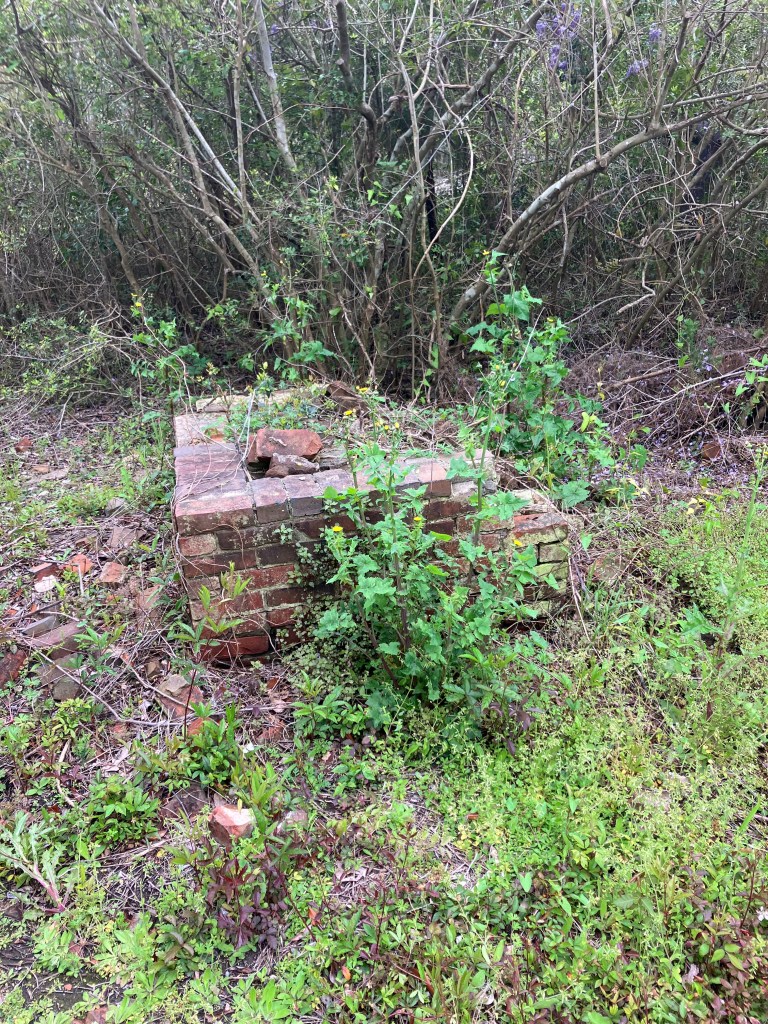 Old brick pier among the brush