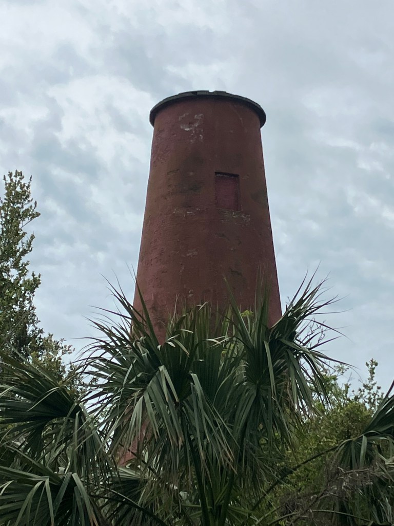 The 1827 lighthouse tower above a palmetto