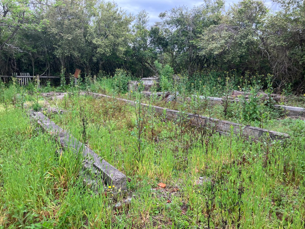 Low foundation walls outlined in the tall grass