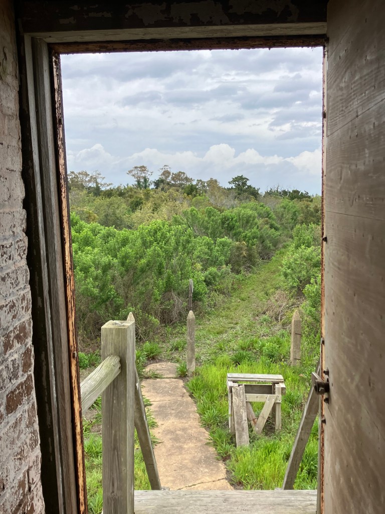 View out the lighthouse door to the path and shrubs