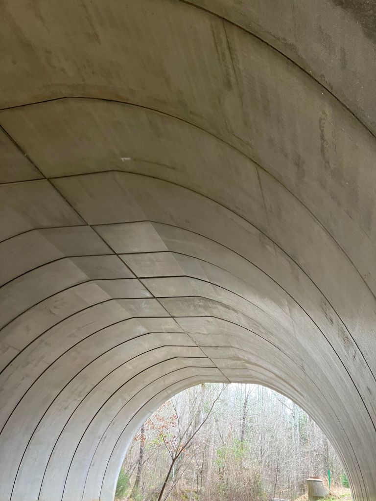 Looking through the arched metal culvert tunnel to the woods