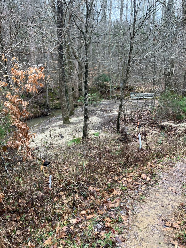 Trail curving through bare winter woods