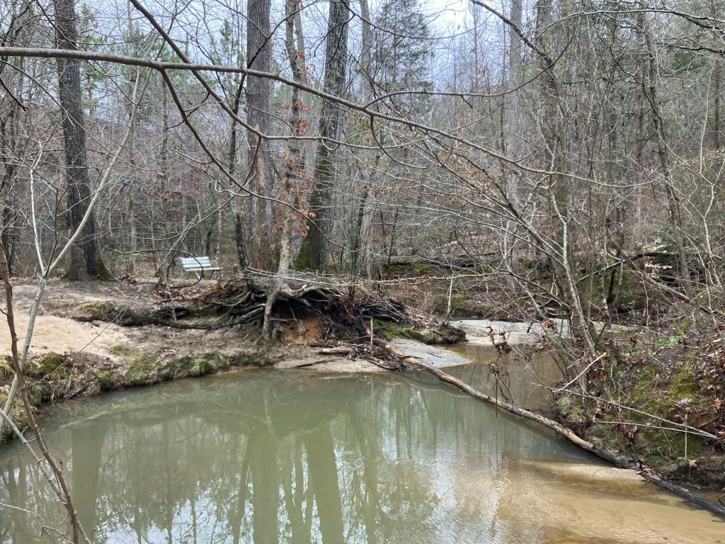 Calm creek with sandy banks in the winter woods