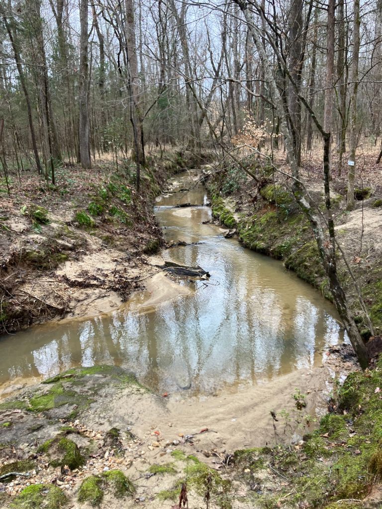Creek bending between sandy, mossy banks