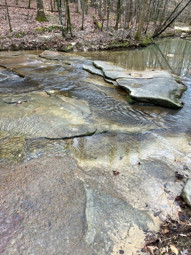 Flat rock slabs and ripples in the creek bed
