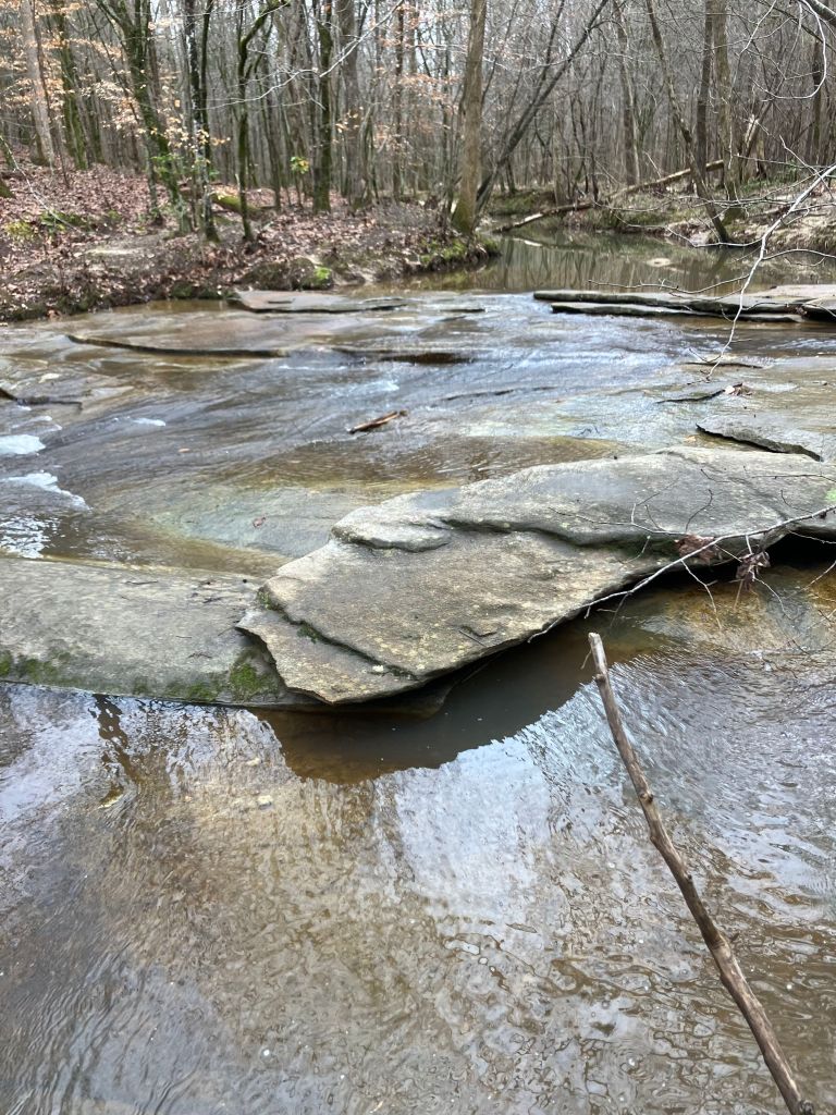 Layered rock ledge in the shallow stream