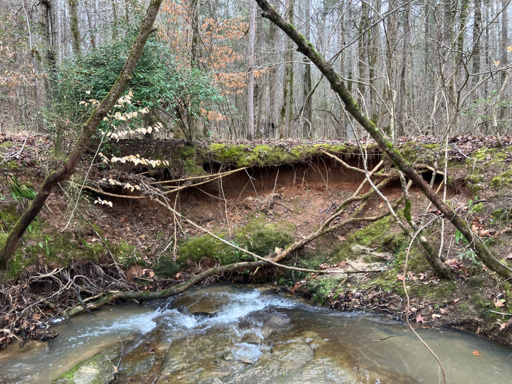 Creek flowing below a red clay bank and leaning trees