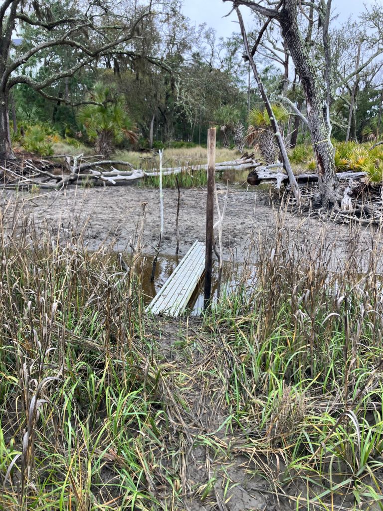 Remains of an old dock in the marsh