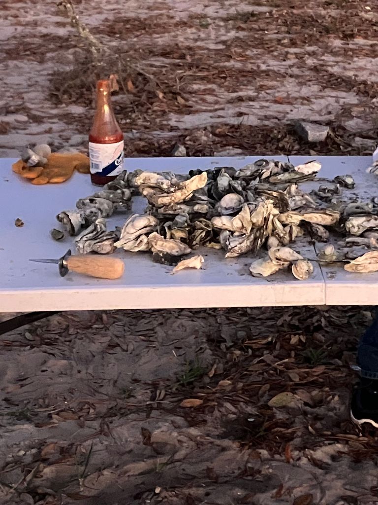 Table of roasted oysters on the beach with a bottle of wine