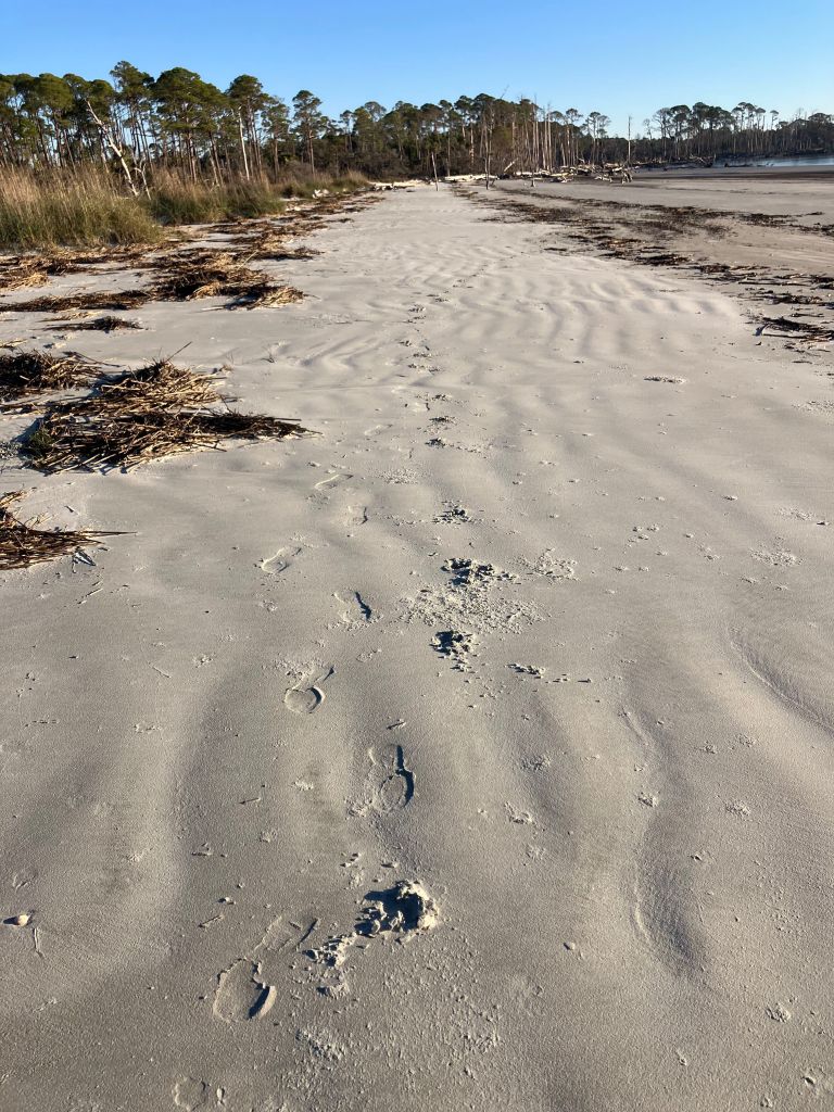 Footprints in the sand on the beach at St. Phillips Island