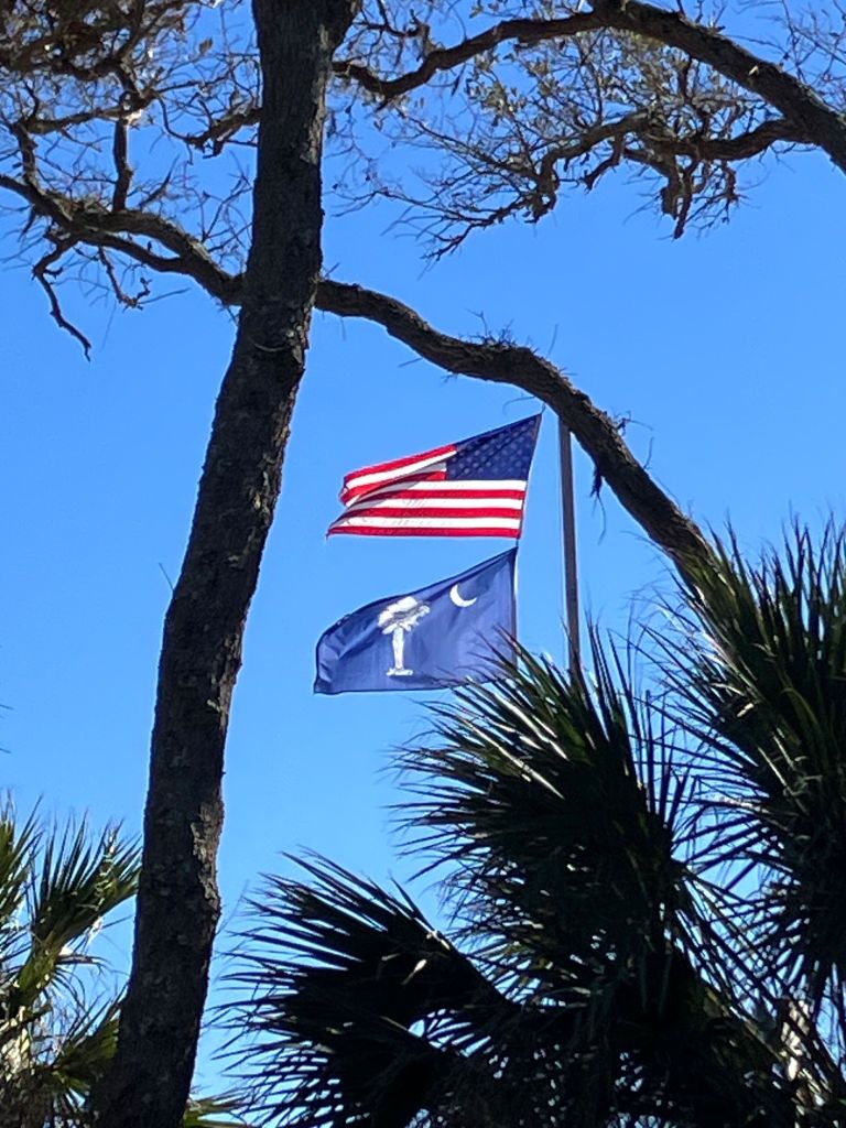 American and South Carolina flags among palm trees