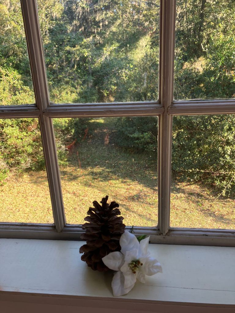 Pinecone and a white lily on a windowsill overlooking the grounds