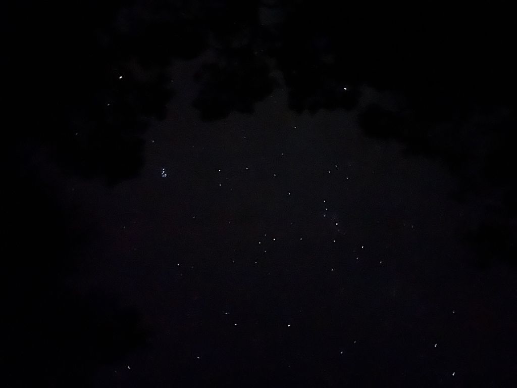 Dark night sky with faint stars over the island, photo by Morgan