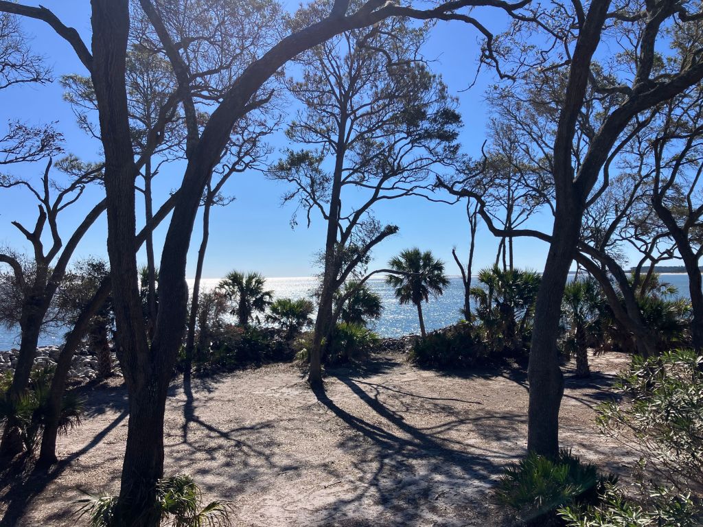 Twisted trees in the maritime forest on St. Phillips Island