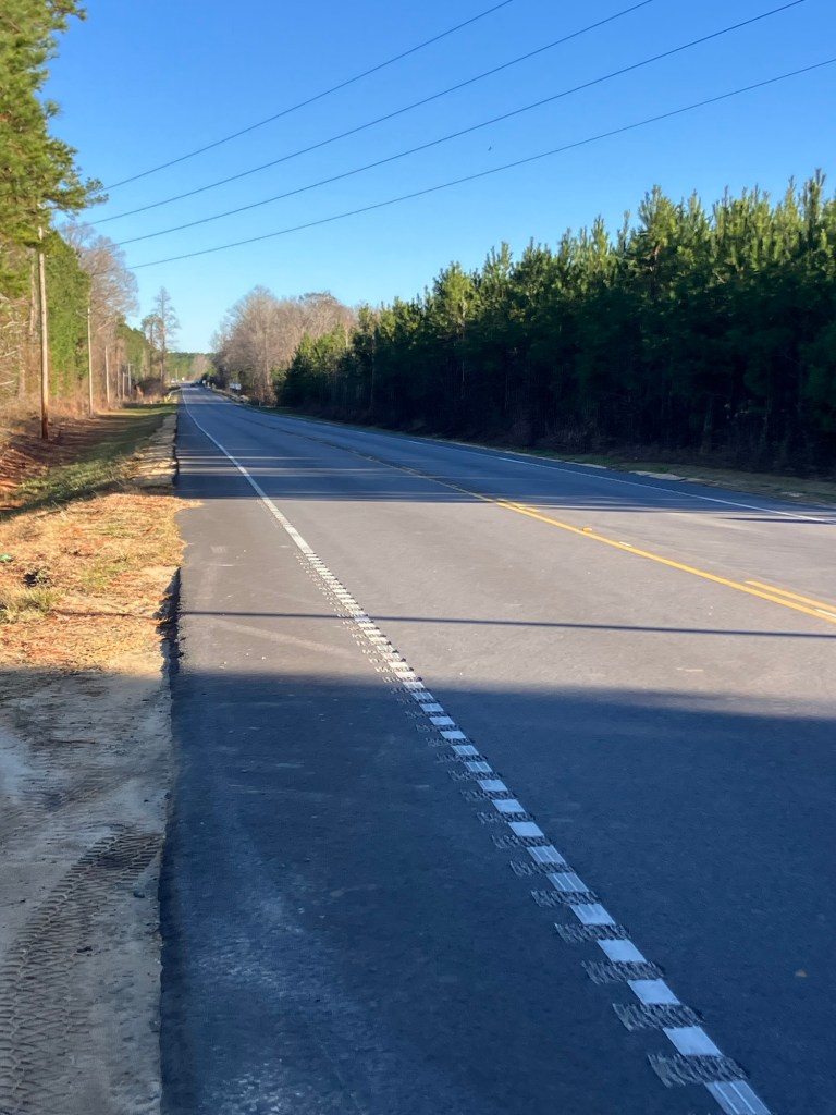 Empty two-lane country highway through the pines