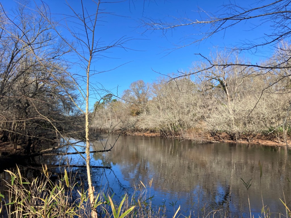 The Black River and bare winter trees from the bank
