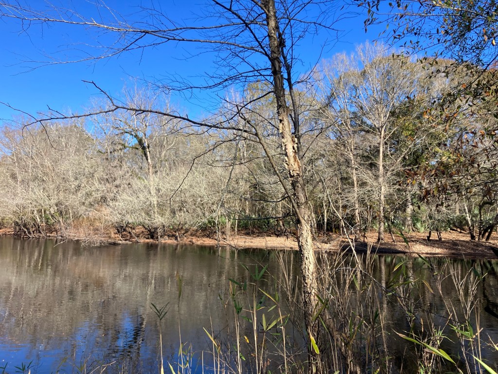Still water of the Black River reflecting the trees