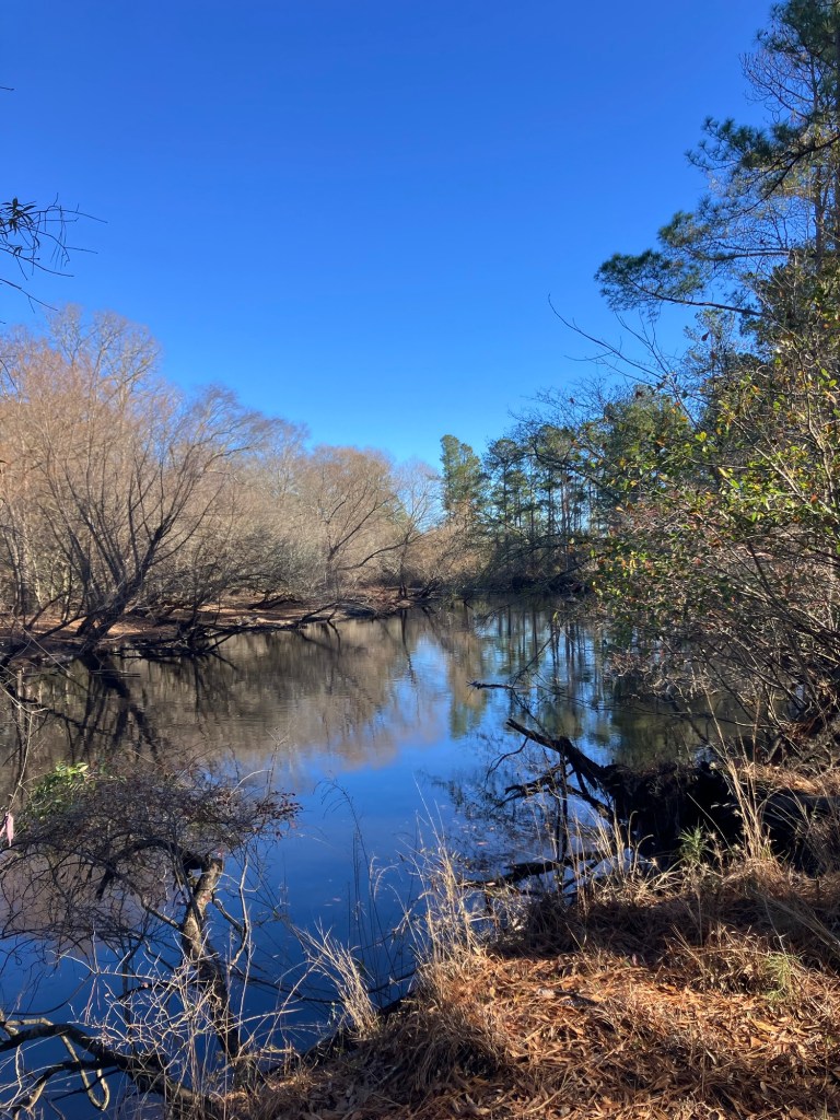 Bend in the Black River under a clear blue sky