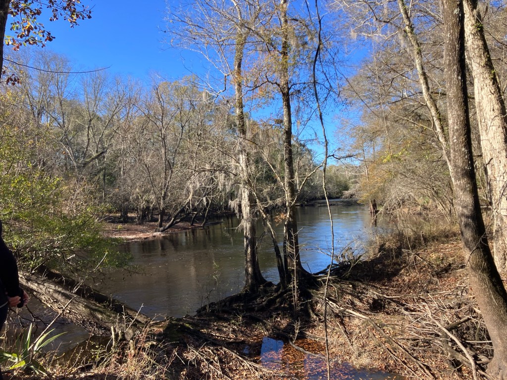 Trail along the wooded riverbank